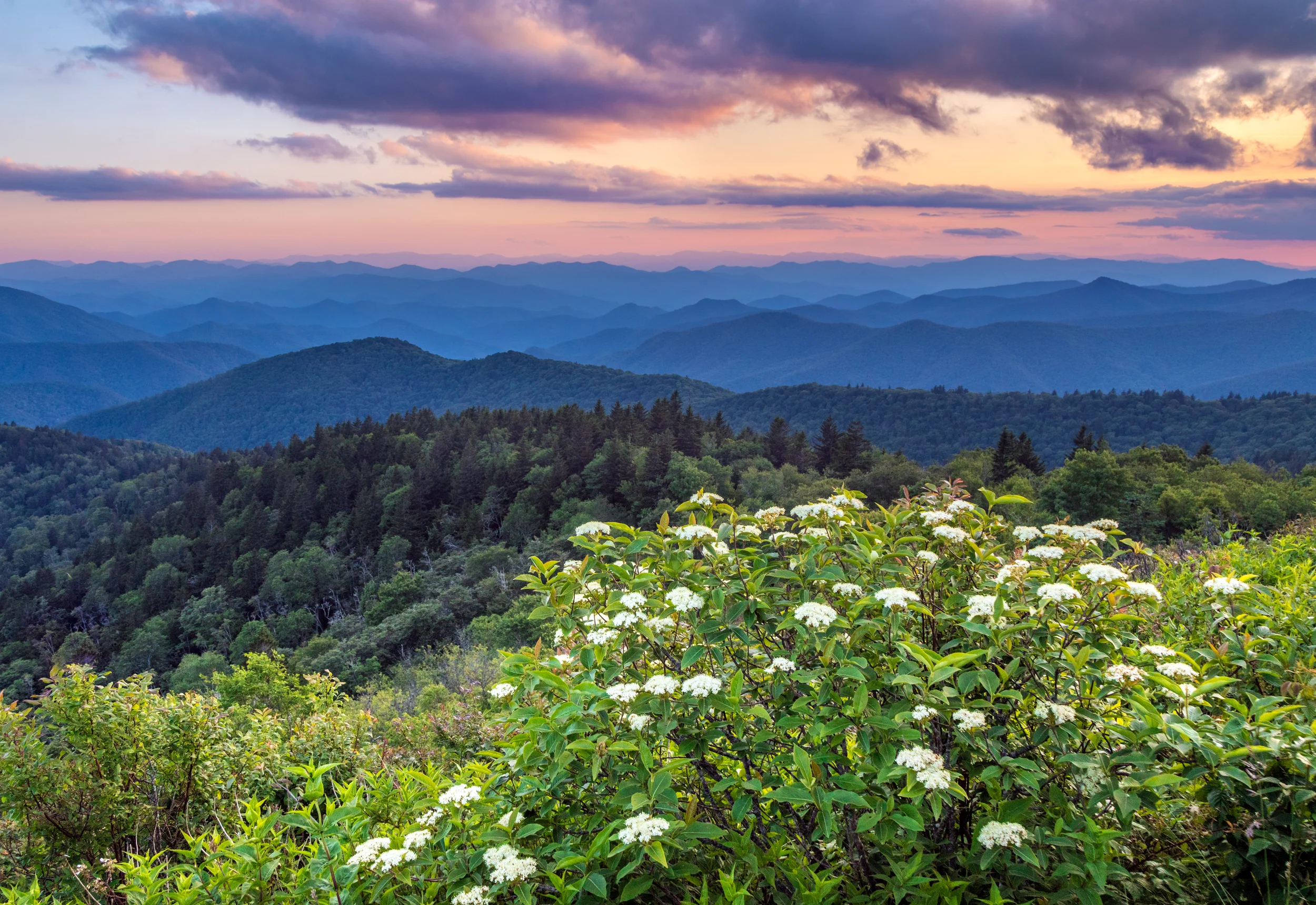 NC Mountain View