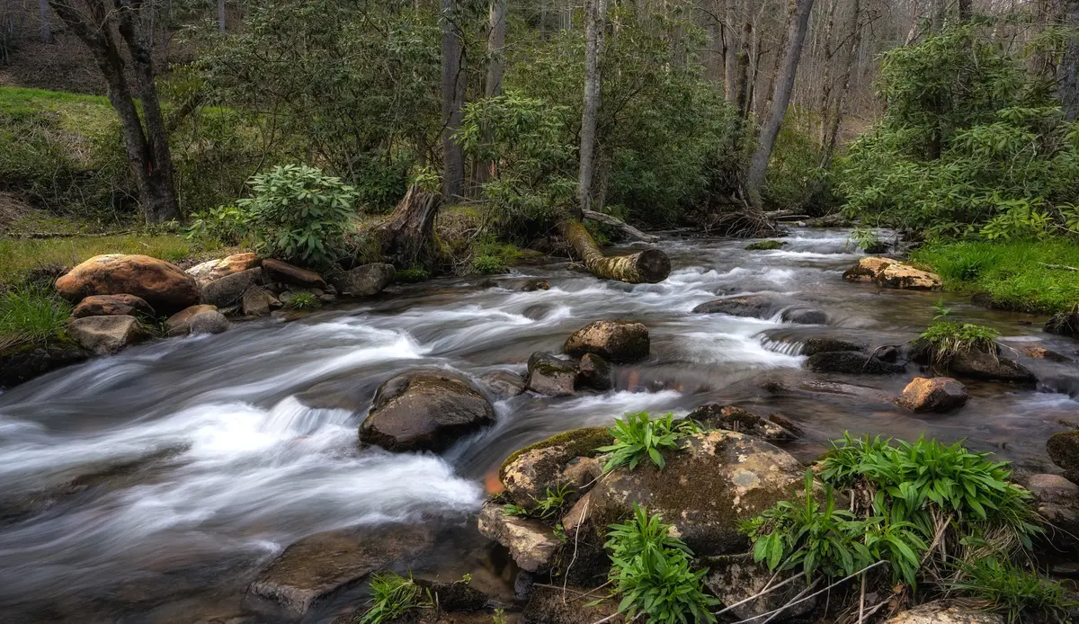 Lake Nantahala Cabins